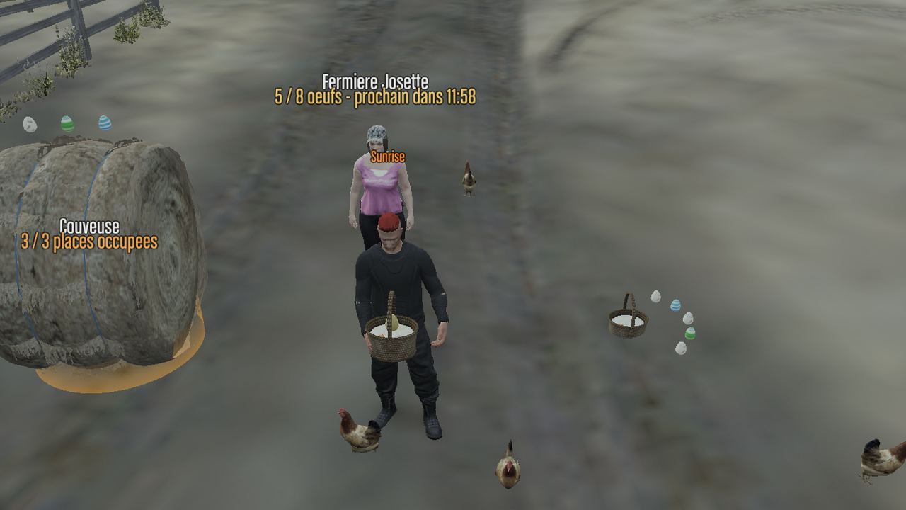 Récolte des œufs chez la fermière, panier à la main